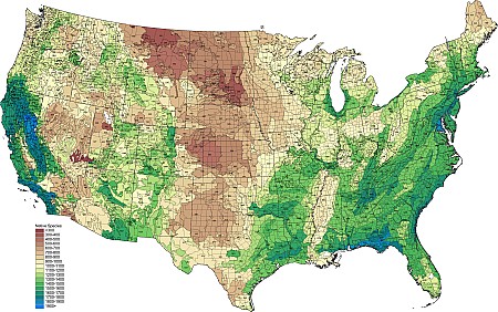 Ecoregion_Native.png Ecoregion_Native.png